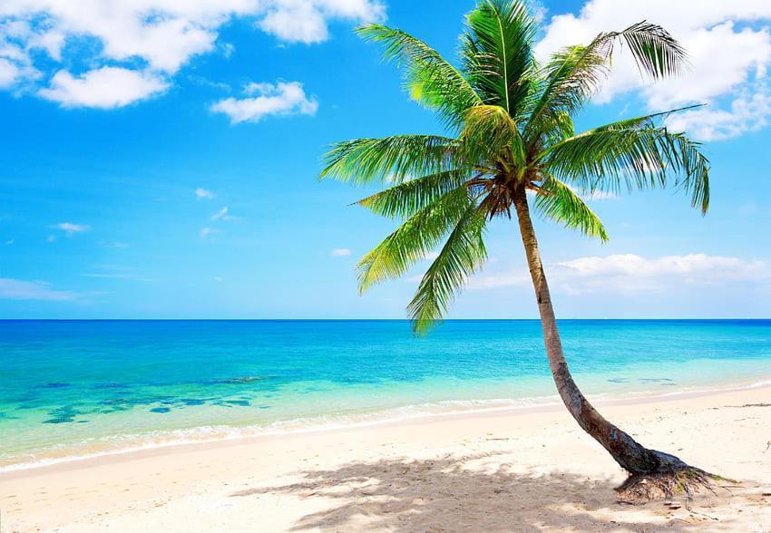 Jambo Diani 1-Bedroom Apartment Close To The Beach เดียนีบีช ภายนอก รูปภาพ